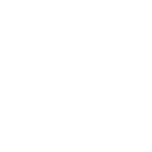 shine-3.png